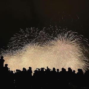 da Vinci‘s dinosaur