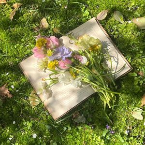 清风沐春（Breeze in Spring）