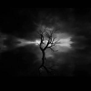 Everywhere（prod by Lil Nickle）