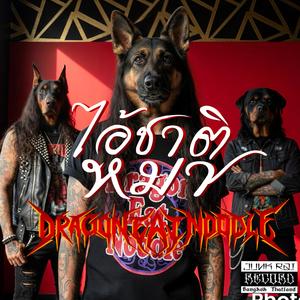 ไอ้ชาติหมา