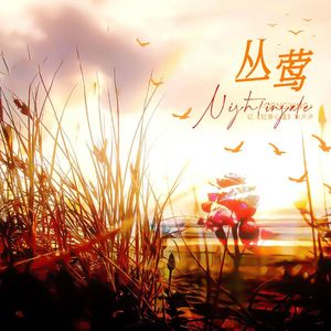 丛莺——记《犯罪心理》宋声声