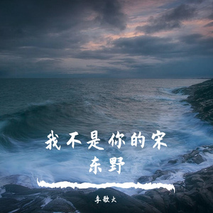 我不是你的宋冬野