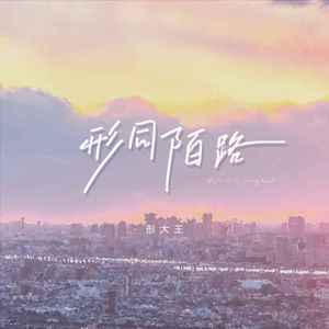 形同陌路 (DJ版)