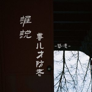 谁说养儿才防老