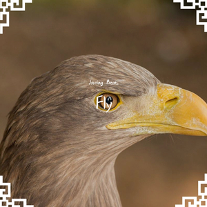 【Free】Fly （Prod. By Jaming Beats）