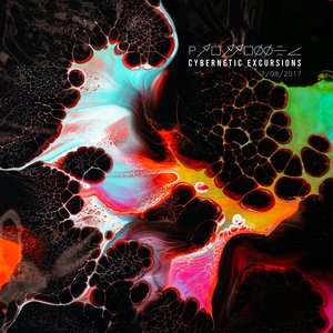 Cybernetic Excursions