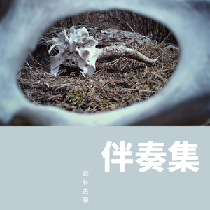 有故事的孩子 伴奏