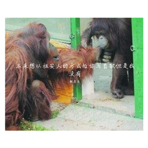 本来想以祖安人的方式给你写首歌但是我没有