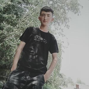 chaki chaki最新版