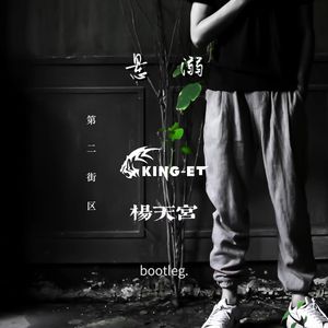 悬溺 (King_et紫 & 杨天宫 Bootleg)