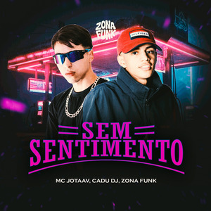 SEM SENTIMENTO