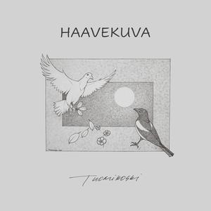 Haavekuva