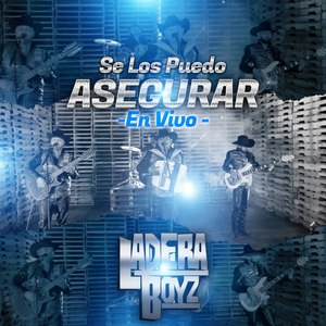 Se Los Puedo Asegurar (En vivo)