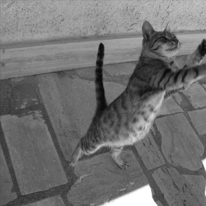 T'en es content d'tes lunettes???