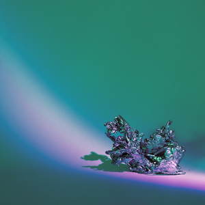 A Hunter and the Prey