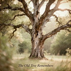 The Chipped Letterbox