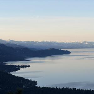 Love Among The Constellations