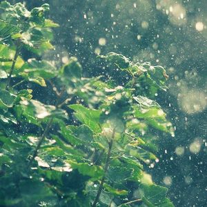 从前说（Cover: 小阿七）