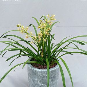 《班卓与吉他奏响的荒野冒险乐章》046