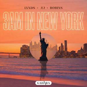 3am In New York