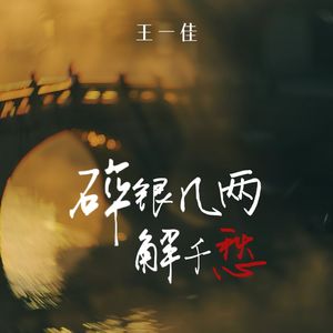 碎银几两解千愁