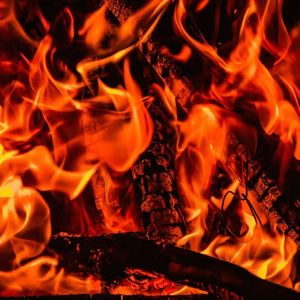 金叨叨 - 没得怕