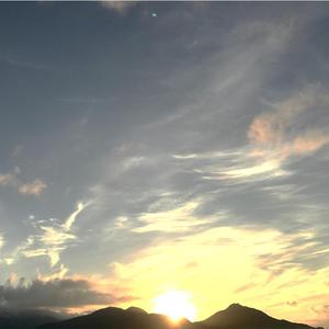 一腔诗意喂了狗