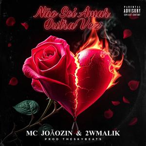 MC Joãozin - Não Sei Amar Outra Vez (feat. 2WMALIK)