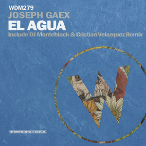 El Agua (Original Mix)