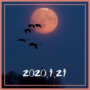 2020.9.29