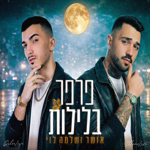 פרפר בלילות