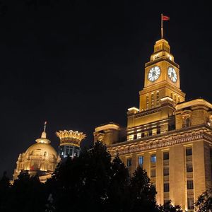 琴师