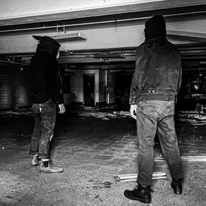 Fox Sedge Covenstead