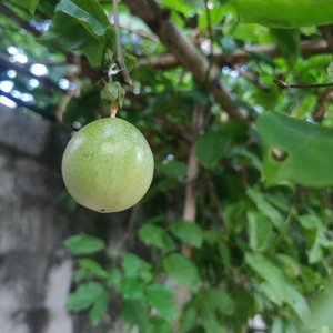 新年！请多指教