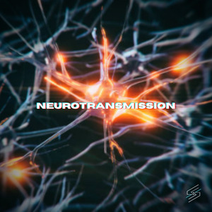 Neurotransmission
