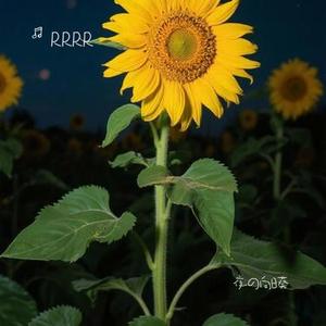 夜の向日葵