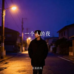 一个人的夜
