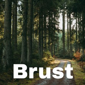 Brust