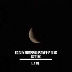 我会在那腥臭腐朽的日子里熠熠生辉2