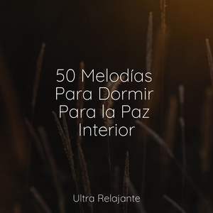 Descansando Junto Al Lago