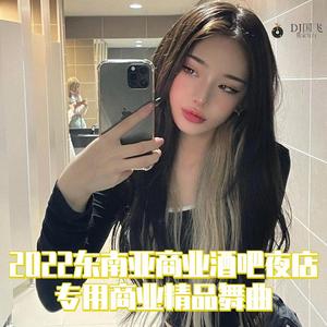DJ国飞-2022东南亚商业酒吧夜店专用商业精品舞曲（DJ国飞 remix）