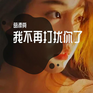 我不再打扰你了