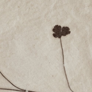 marriage (2011.07.03 新宿文化センター)