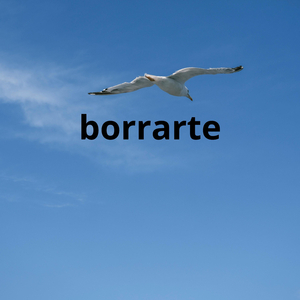 borrarte