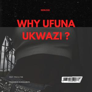 Why Ufuna Ukwaz' ? (feat. Ficc & Tae)