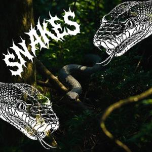 Snakes