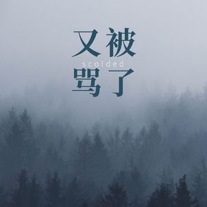 我又被骂了