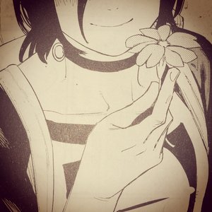 链锯，花与炸弹（2273）