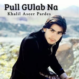 Pull GUlab Na
