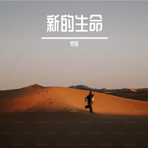 喇叭花
